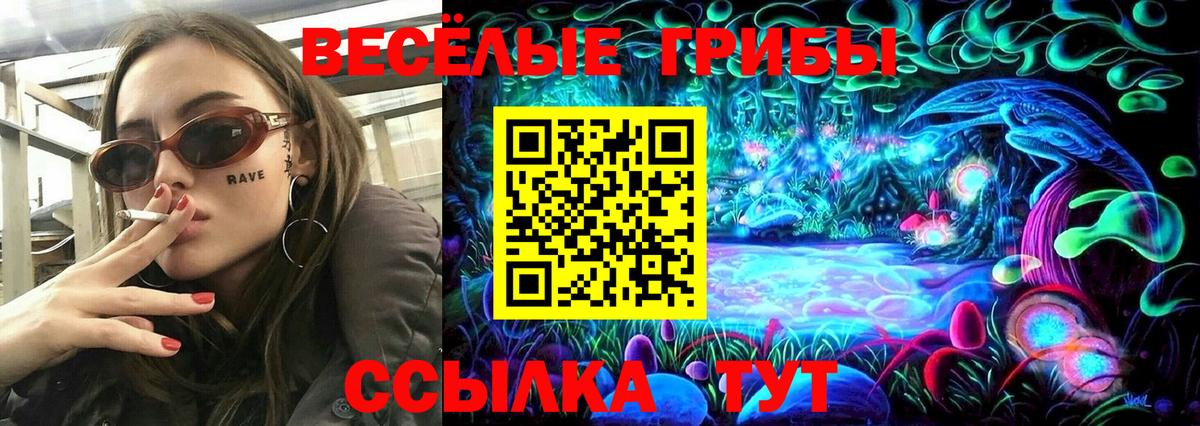 Псилоцибиновые грибы Psilocybe Зерноград
