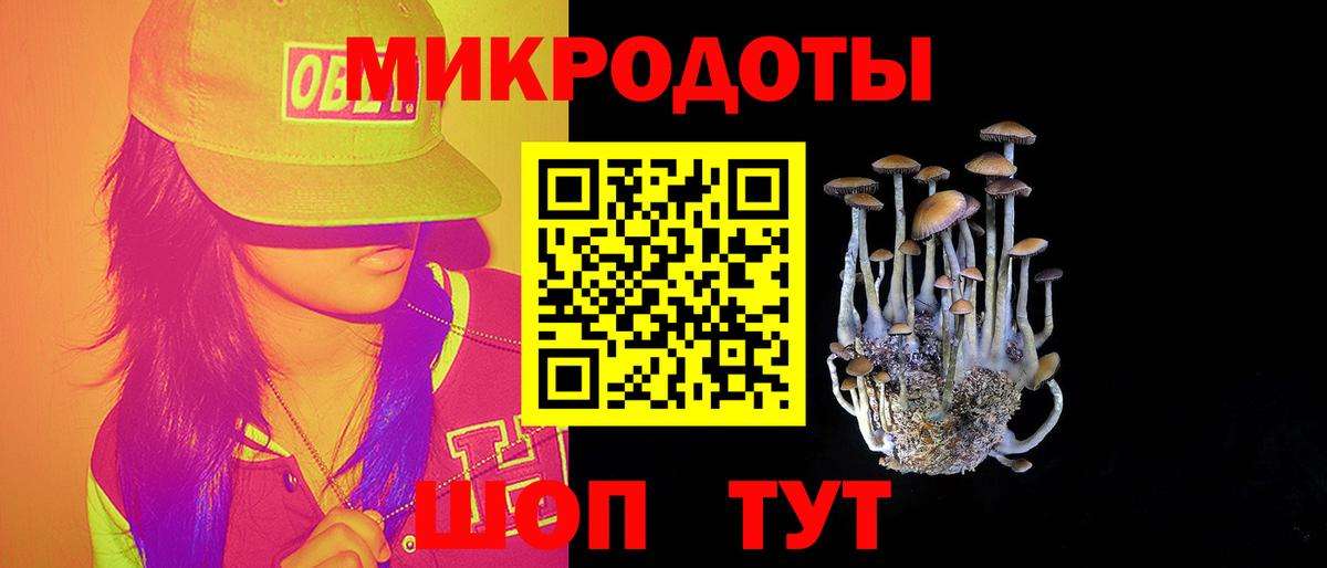 Галлюциногенные грибы Psilocybine cubensis  Вход с VPN  Зерноград 